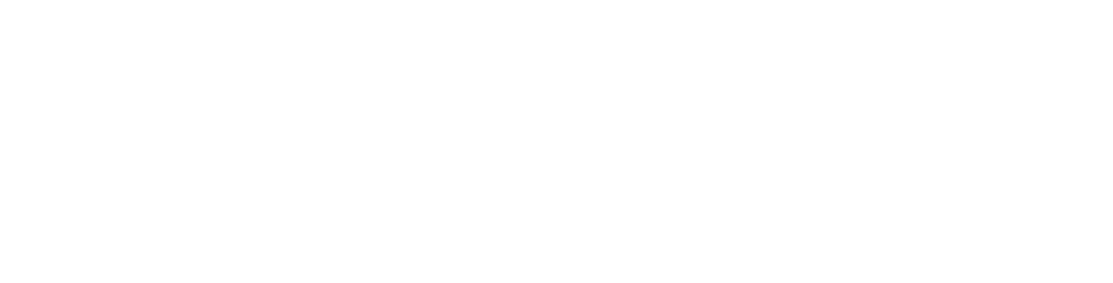 Level8